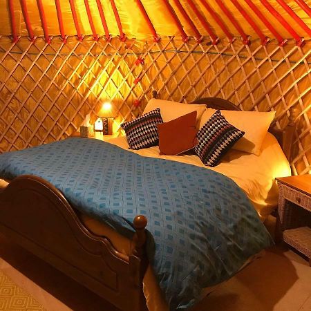 Mcclure Yurt At Carrigeen Glamping Kilkenny Eksteriør billede