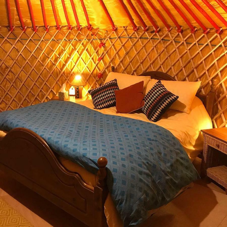 Mcclure Yurt At Carrigeen Glamping Kilkenny Eksteriør billede