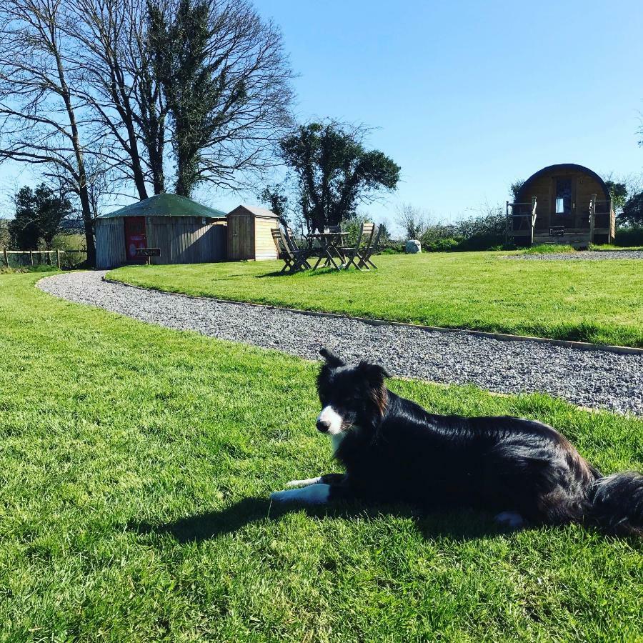 Mcclure Yurt At Carrigeen Glamping Kilkenny Eksteriør billede